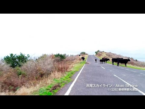 赤尾スカイライン~秋冬~＠島根県観光連盟