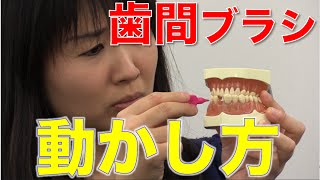 歯間ブラシは前後左右に動かす？