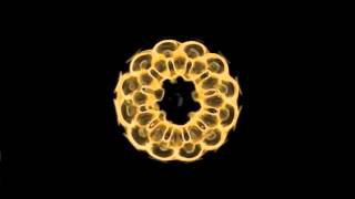 BLOND:ISH - Jupiter & Jaguar (Welcome To The Present) [Kompakt]