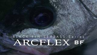 【ヒラスズキ専用ロッド】ARCFLEX BF “アークフレックス BF” PV