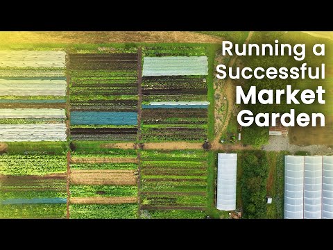 Knepp Market Garden: Regenerative Success Strategies