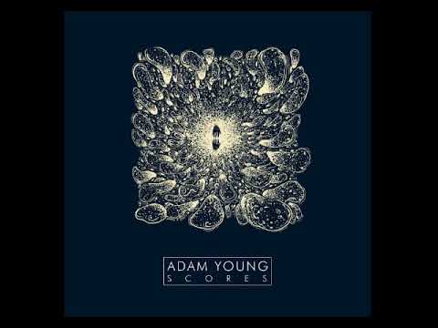2 Hours of Adam Young Owl City Ambient and Chill Music