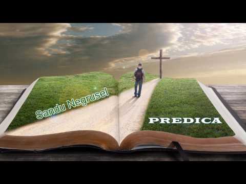 Sandu Negrusel- Predica