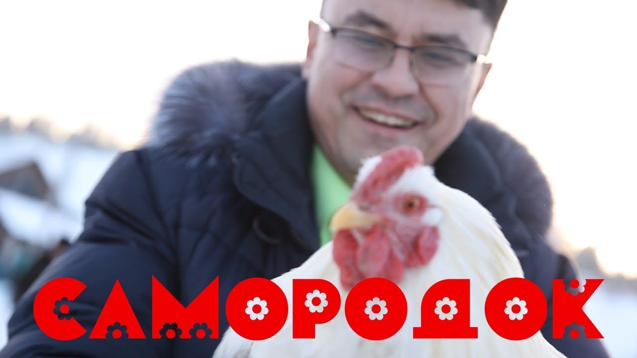 Ильнур Юламанов — Самородок