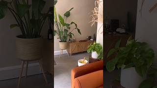 18 months ago, I transformed this into my dream massage studio