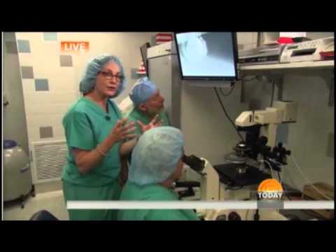 ドクター・シルバーが体外受精をライブで披露する「ザ・トゥデイ・ショー」（フル）を見る (Watch Dr. Silber Perform IVF LIVE on The Today Show (Full))