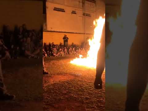 20 Anos - Escuteiros