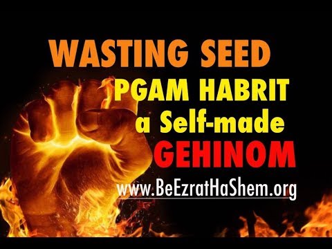 Wasting Seed is Pgam HaBrit and It's A Self-Made Physical & Spiritual Gehinom COMPLETE LECTURE