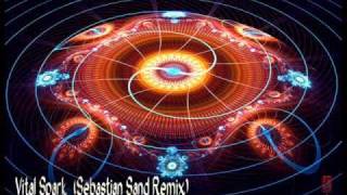 Mirco de Govia - Vital Spark (Sebastian Sand Remix)