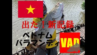 ベトナム　バラマンディ（VietNam Barramundi)　出た！新記録