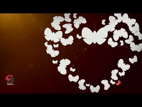 Save The Date Haseena + Shafi 2019