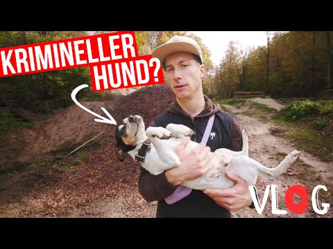 Der „Reshape, Real Talk & Recreation“ Vlog | Jasper Jauch