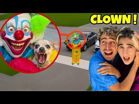 HOPE È STATO RAPITO DAL CLOWN PAZZO…😱😰