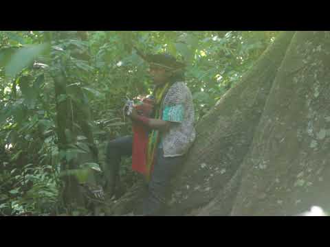 Txana Bai rezo sagrado Huni Kuin na Samauma