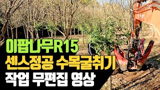 이팝나무R15 센스정공 수목굴취기 작업 무편집 영상…