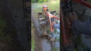 Traktor sawah memulai singkal lahan