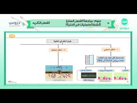 الثالث المتوسط| الفصل الدراسي الثاني 1438/ علوم| مراجعة الفصل السابع(انشطة وعمليات في الخلية)