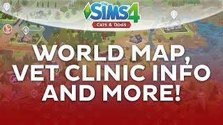 BRINDLETON BAY MAP VET CLINIC FACTS AND MORE! / Th