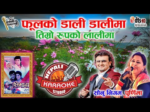 Phool Ko Dali Dalima Karaoke || फूलको डाली डालीमा || Sonu Nigam & Poornima || HD Quality #trending