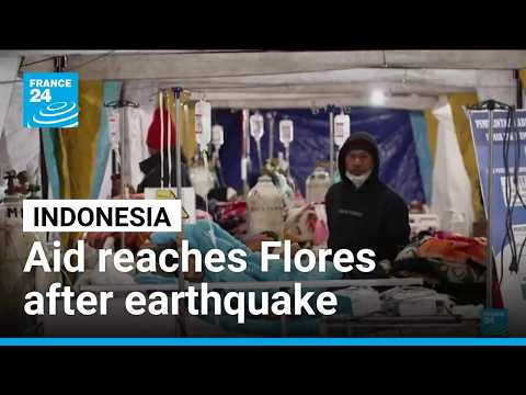 Indonesian earthquake : Aid reaches Flores as death toll climbs