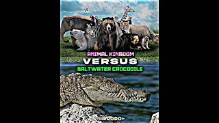 Download lagu Saltwater Crocodile vs Animals|#fyp #edit #shorts #vs #wisedit #vsedit #animals #nature #crocodile mp3 Download lagu Saltwater Crocodile vs Animals|#fyp #edit #shorts #vs #wisedit #vsedit #animals #nature #crocodile mp3