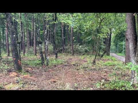 🌳 Uređenje parka Jasikovac u Gospiću u punom jeku!