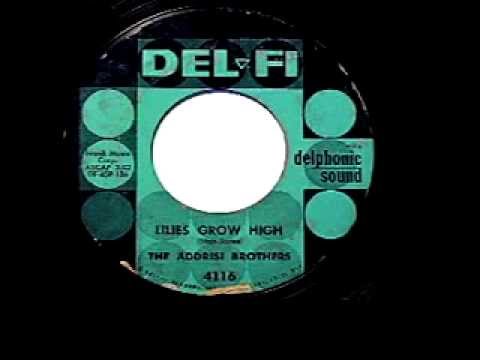 Addrisi Brothers - "Lilies Grow High"
