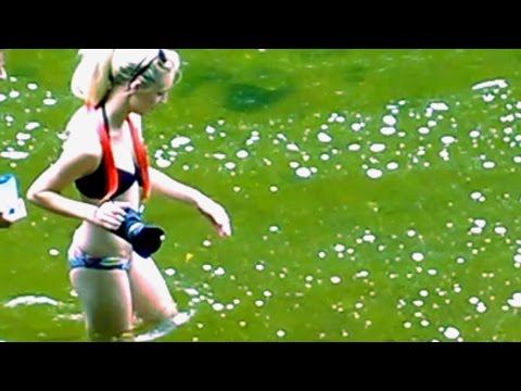 インディアナ州の滝トップ 5