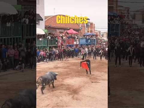 🙆🏻‍♂️UN TRAILER DE TORO BRAVO‼️VAYA CHAQUETAZO👏🏼🔥