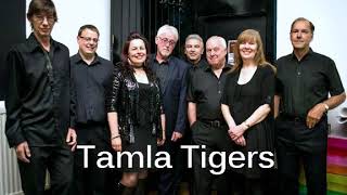 TAMLA TIGERS (James Brown Medley Live)