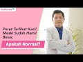 Perut Terlihat Kecil Meski Sudah Hamil Besar Apakah Normal