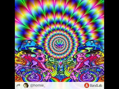 "Snakes" -Wikked ( Ft. K- Money)