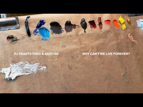 DJ HEARTSTRING & Narciss - Why Can't We Live Forever (Official Visualiser)
