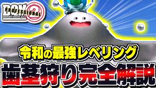 【DQMJ2P】光あふれる地超え！？最高効率レベリング「歯茎狩り」を完全解説！【ドラクエモンスターズゆっくり実況】