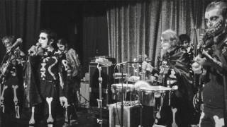 The Growlers - Ribcages