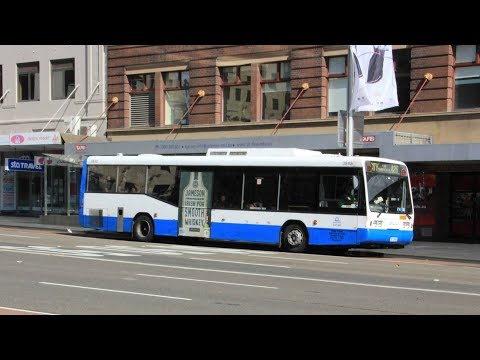 Sydney Buses 3845: Scania L113CRL (ZF/Ansair Orana)
