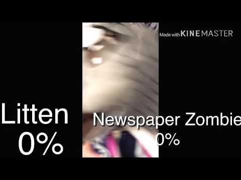 Vine Shorts Episode 8: MELEE