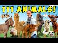 Morning Chores FARM TOUR Meet Our Newest Baby Animal Summer 2024