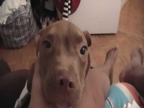 Zakeeyah's mom wants dutch out!