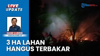3 Ha Lahan Sawit di Singkut Terbakar, Tim Manggala Agni Daops Sumatera XIII Berjibaku Padamkan Api