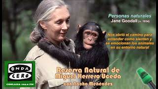 Miniatura de YouTube para: Jane Goodall (1934-2025)