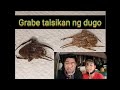 Amazing Spider Nagtatalsikan Ang Dugo Sa Digmaan Nilang Dalawa Kaka Fighting S2 Vlog8 2021