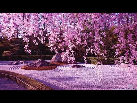 Ravel - Pavane Pour Une Infante Défunte (Reverb + Extended)