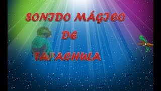 Sonido Mágico De Hugo Morales - El Mariachi Loco
