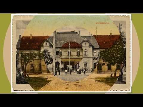 DAS ALTE HATZFELD IM BANAT- (  JIMBOLIA DE ALTADATA)