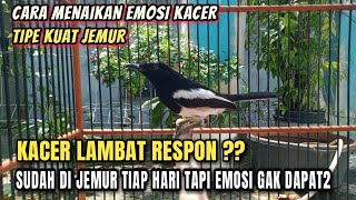 Download lagu HAVE BEEN SUNNING FOR A LONG TIME BUT THEIR EMOTIONS HAVEN'T TURNED UP?! HERE'S HOW TO RAISE THE ... mp3