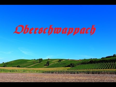 Oberschwappach --- Weinberg --- Sommertal