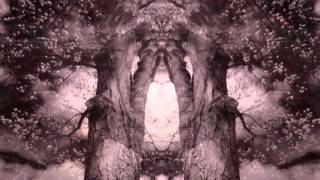 The Stream (Steve Kilbey)(Art Man + Technology)