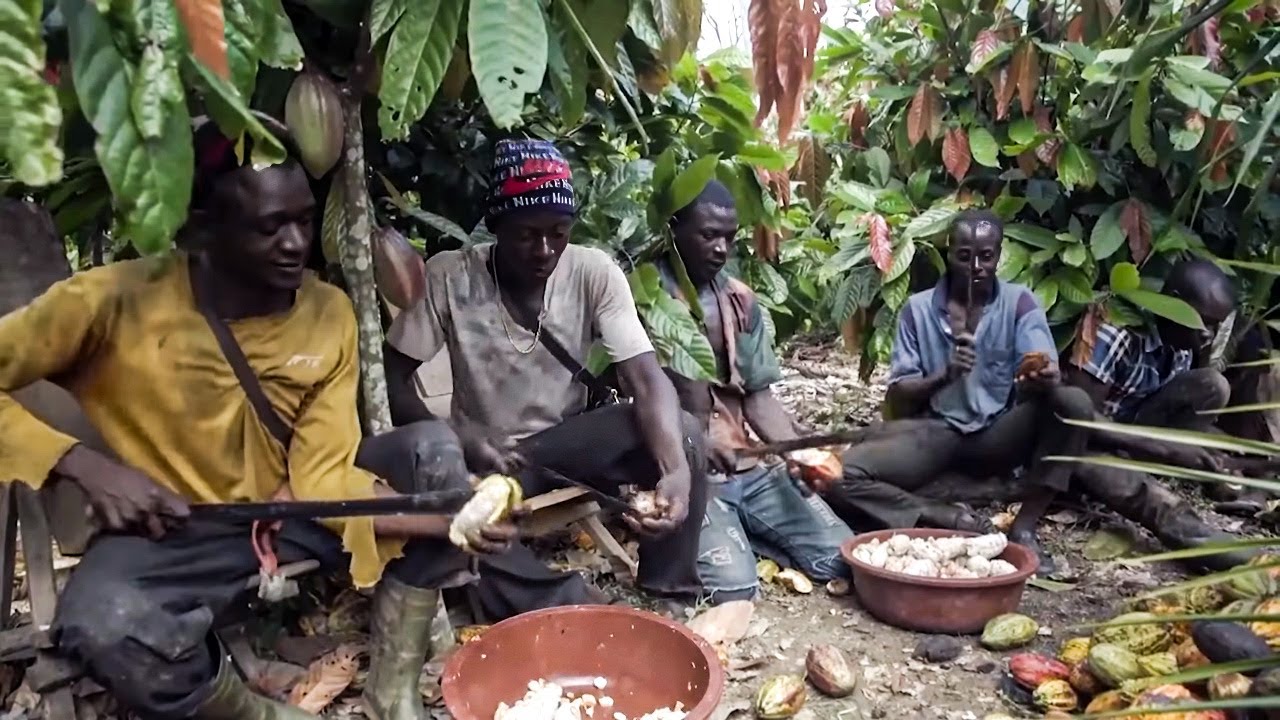 Chocolate, heart of darkness