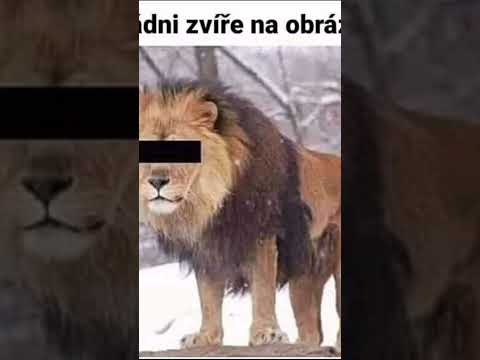 Nějaké ty srandičky